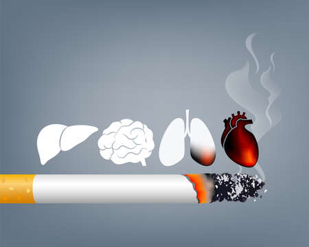 Thuốc lá hủy hoại nhiều cơ quan trong cơ thể